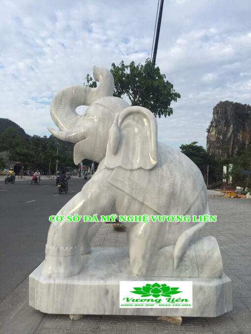 Voi Đá-002