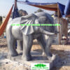 Voi Đá-003