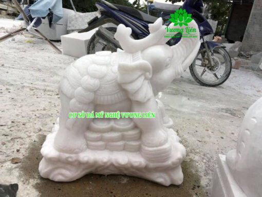 Voi Đá-011
